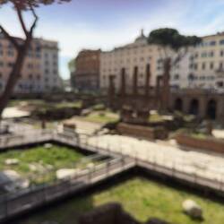 Roman Cat Sanctuary.