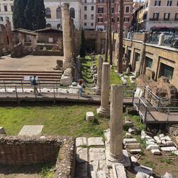 Roman Cat Sanctuary.
