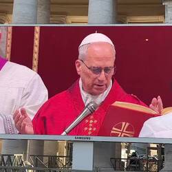 Pope Leo XIV leading Good Friday mass.
