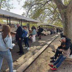 Similar to Paris, there were book and souvenir sellers along the Tiber.