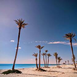 Strand von unserem Hotel Djerba Castille