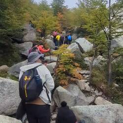 Beim Abstieg komen uns hunderte Wanderer entgegen. Teils kommen wir kaum voran!