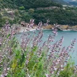 ..unser schönes Pausen Plätzchen 🌸🌱🐝 🌊