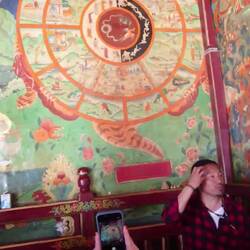 The circle of life explained by our guide