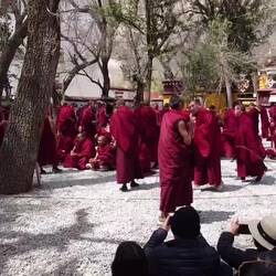 Monks debating