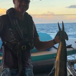 ein Mahi Mahi zum Sonnenuntergang
