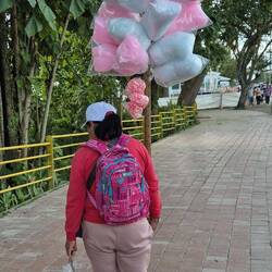 Zuckerwatte auf dem Weg zum Mirador ,El Chipre'