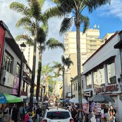 Und Palmen in 2.150 m Höhe