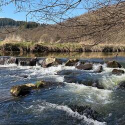 Und hier schon ganz groß