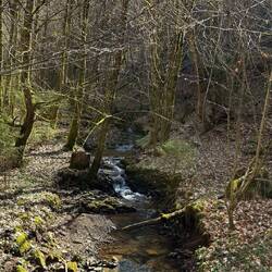 Die Lieser noch ganz klein...