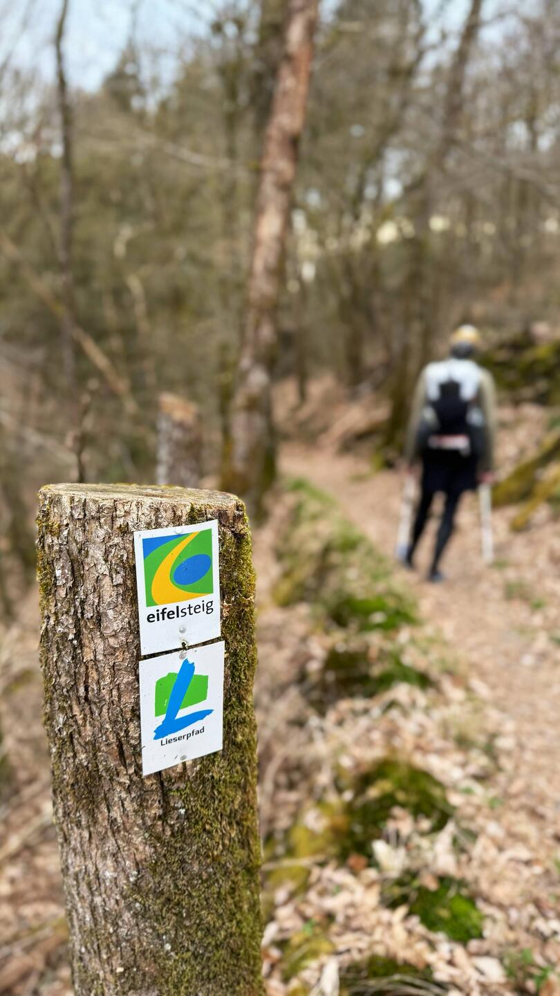 Ein Teil des Lieserpfads verläuft auch auf dem Eifelsteig