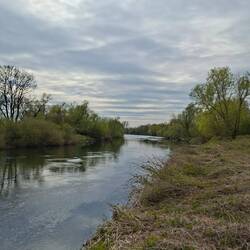 Die Sieg mal ruhig....