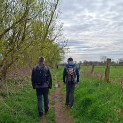 Schöne Singletrails.....