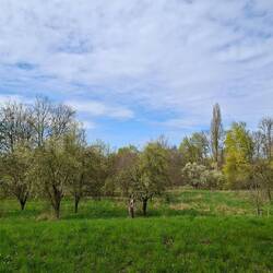 ....in das Landschaftsschutzgebiet...