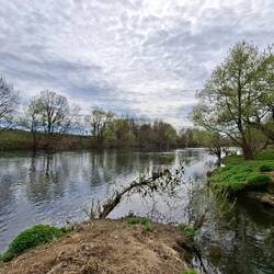 ....immer direkt an der Sieg entlang.
