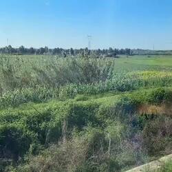 On the Leonardo Express from Rome Termini to Fiumicino.