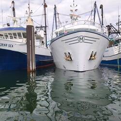 Fischerei-Flotte...