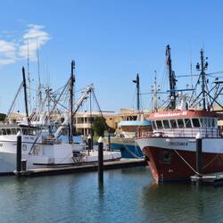 Fischereihafen....