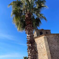 Ostersonntag. Störche auf dem Kirchturm