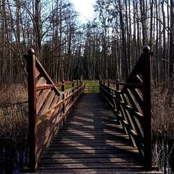 eine der vielen Holzbrücken