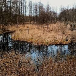 Blick vom Aussichtsturm aus