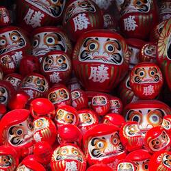 Daruma's