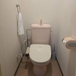 Das Wunder Dusch-WC mit Lavabo