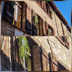 Mit Kunstblumen bepflanzt 🤣