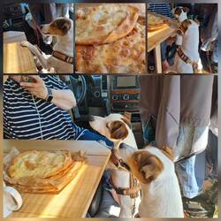 Viel Zucker mit Tropfen Zitrusgeschmack