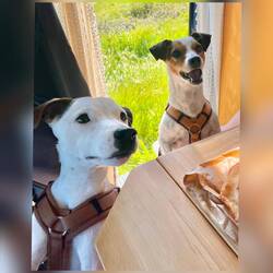 Am SP angekommen hatten wir das Süßgebäck probiert