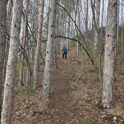 Carefully, slowly, it's steep and slippery.