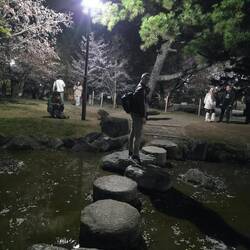 Park im Tempel Areal. Könnte sehr idyllisch sein ohne die Menschen 🤣