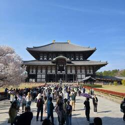 "Bitte keine Gruppenfotos auf dem Weg zum Tempel machen"