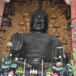 Dicker Buddha. Schon schön, aber bei den Menschenmassen kaum zu genießen