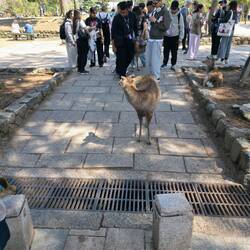Viele viele Menschen