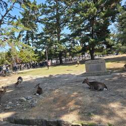 Und am "Eingang" viiiele viele Touristen