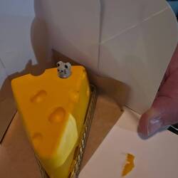 Unglaublich luftiger leckerer Käsekuchen 🤤