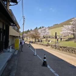 Der Park ist riesig, weiter oben sind keine Menschenmassen mehr.