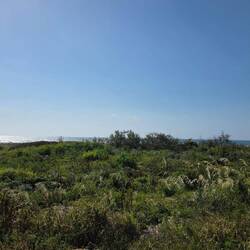 Blick von meiner "Terrasse"