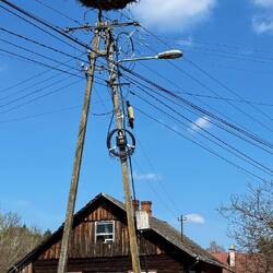 In jeden Dorf scheint es auch hier mindestens ein Storchennest zu geben.
