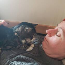 Abby looking after her mum