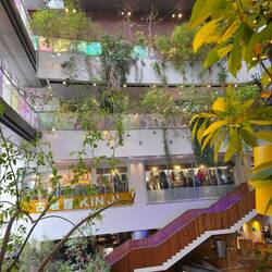 Wildes Einkaufszentrum