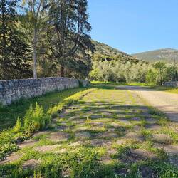 Back on Appia Antica