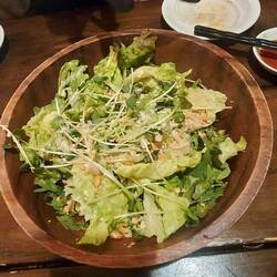 Salat mit Rettichgrün und sehr leckerem Sesam-Reisdressing