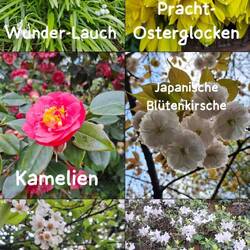 Botanische Pracht im Park