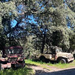 Même les 4x4 sont remisés