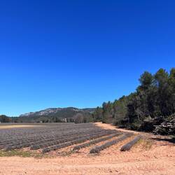 Paysages du sud Luberon
