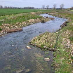 Die Werse bekommt ein neues Outfit.