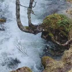 Schmelzwasser Bächlein