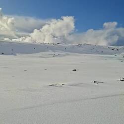 C'est parti, en vadrouille Simone 😜😂 !!!